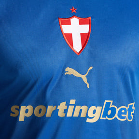 Camisa Palmeiras 2026/27 III Torcedor