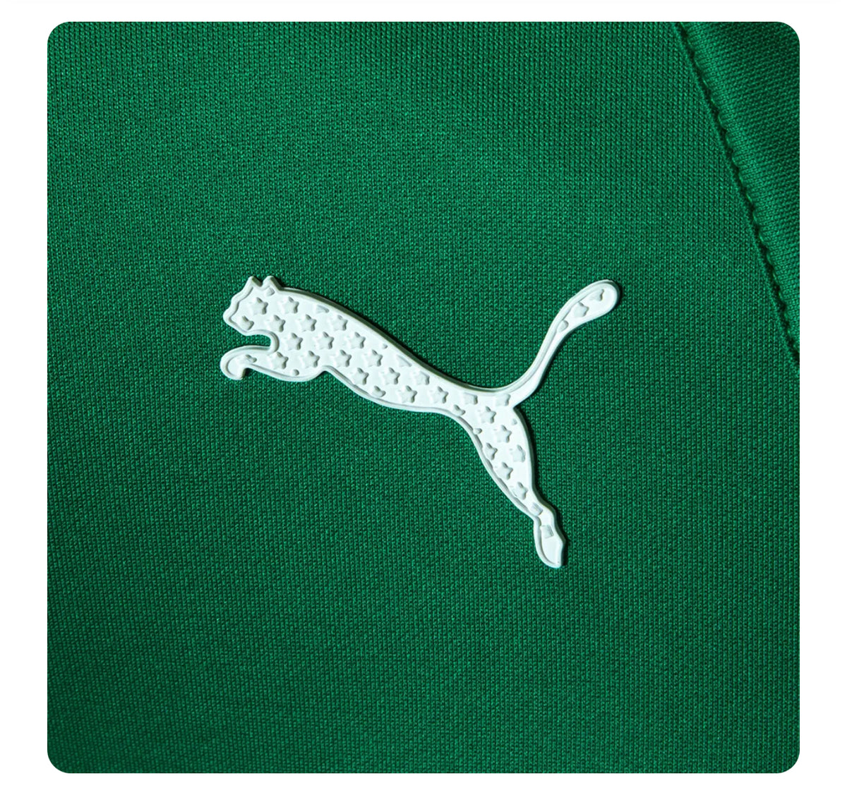 Camisa Palmeiras Motorsports