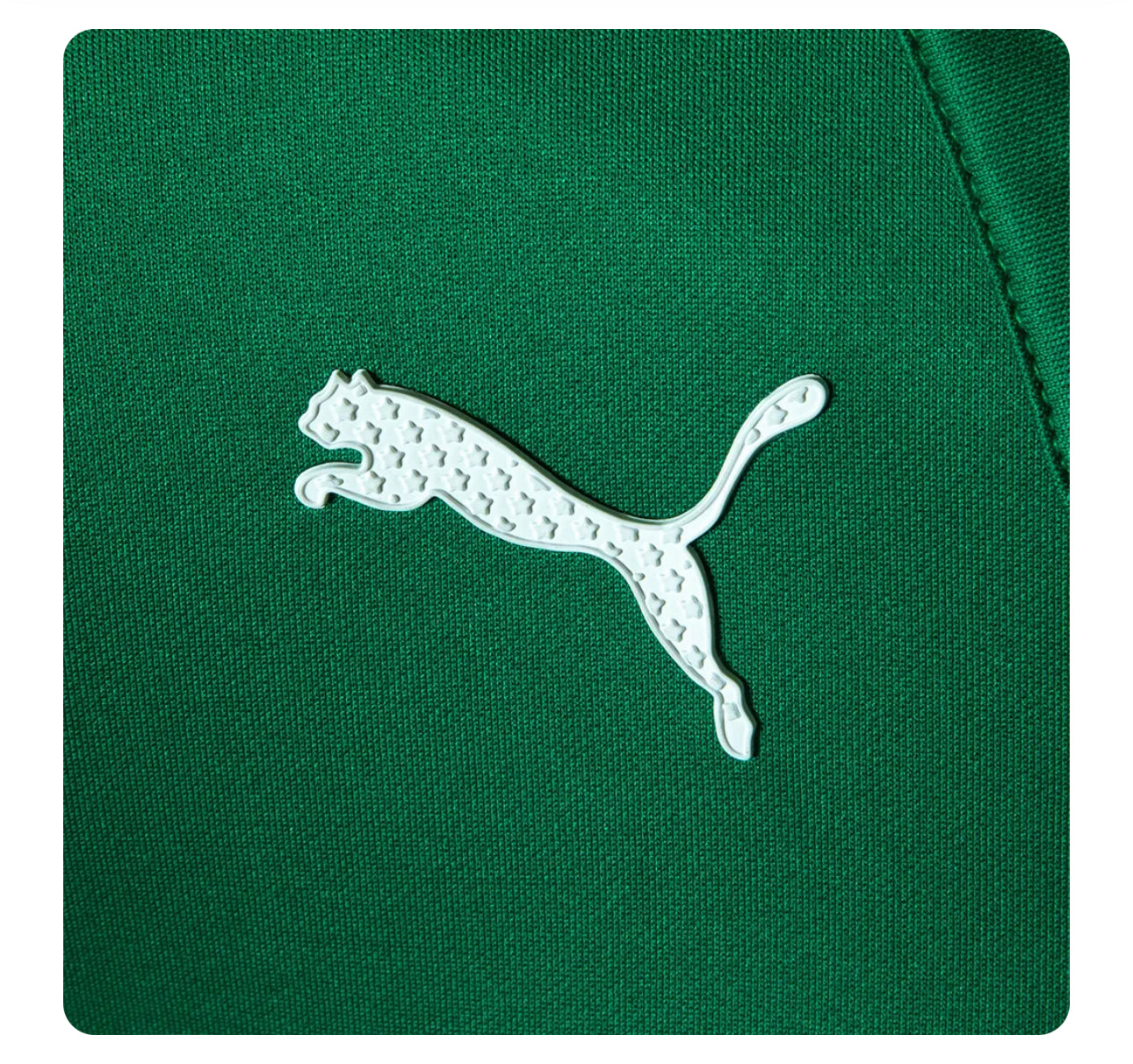 Camisa Palmeiras Motorsports