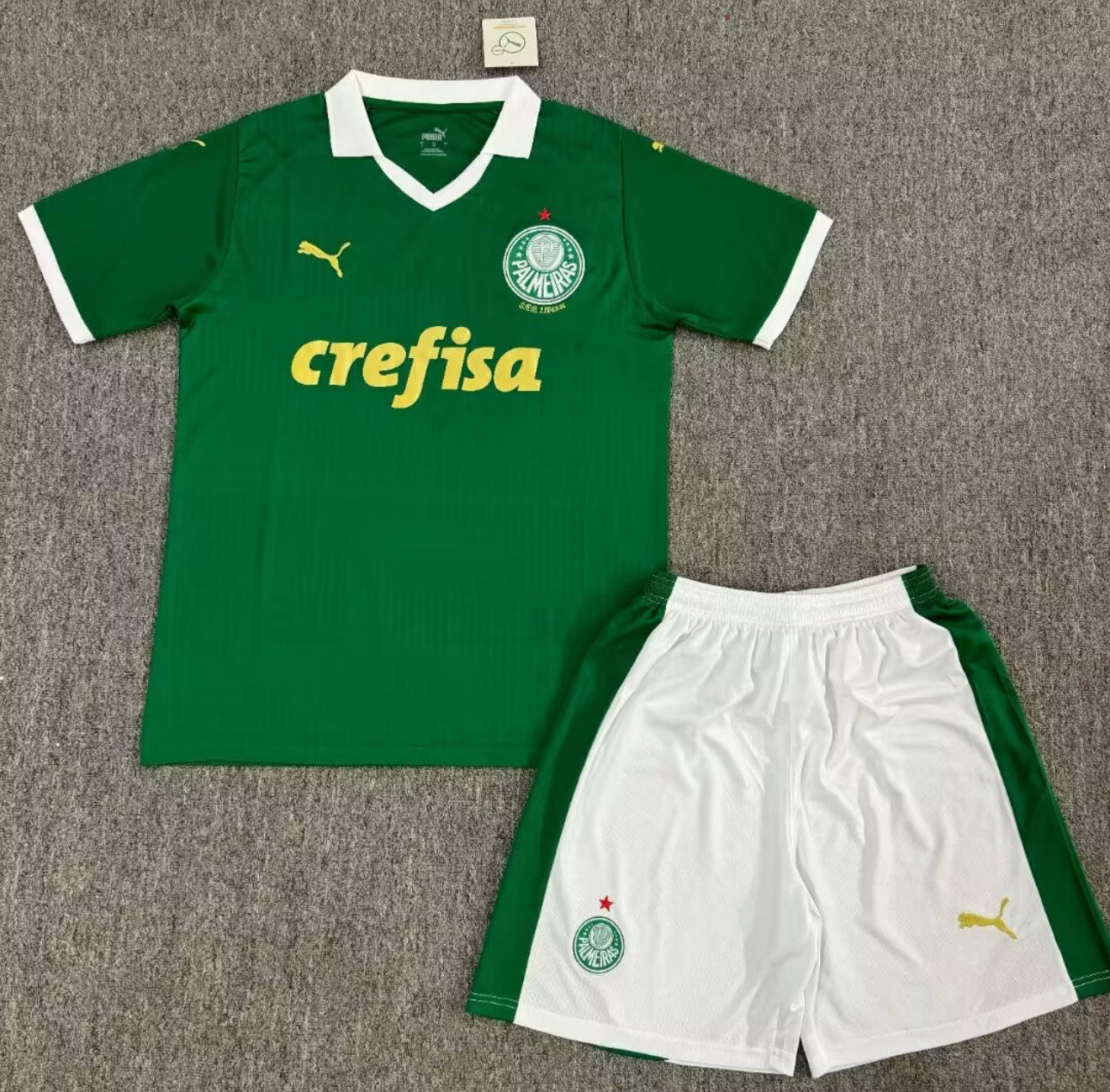 Kit Infantil Palmeiras Titular 24/25