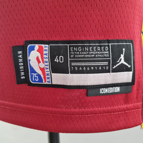 Camisa NBA Miami Heat #6 James - 75° Aniversário Red