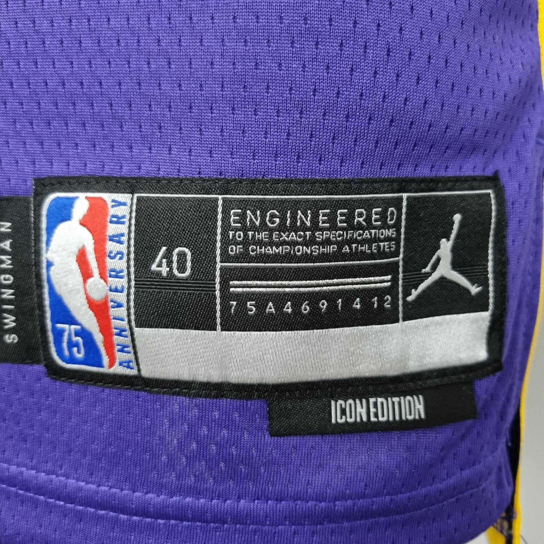 Camisa NBA Lakers #39 Howard Purple 75° Aniversário- 23/24